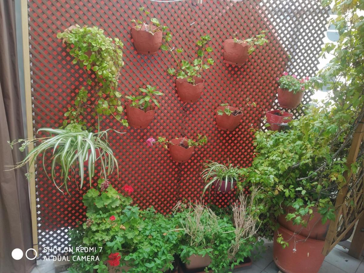 Habitacion Familiar En Un Atico Con Gran Terraza Y,Cocina ,En La Playa Burriana Ngoại thất bức ảnh